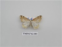 藏品(尺蛾331)的圖片